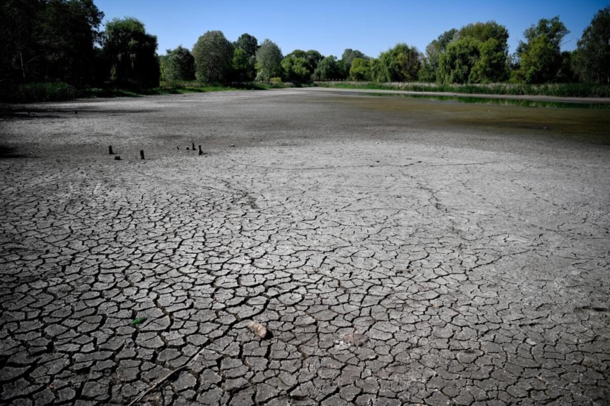 El cambio climático agravará las sequías: estudio reveló que serán más largas e intensas