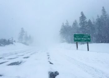 Nevadas y heladas inusuales golpean cinco estados de EEUU Nevadas y heladas inusuales golpean cinco estados de EEUU