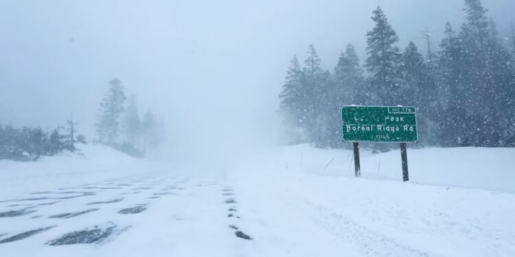 Nevadas y heladas inusuales golpean cinco estados de EEUU Nevadas y heladas inusuales golpean cinco estados de EEUU