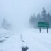 Nevadas y heladas inusuales golpean cinco estados de EEUU